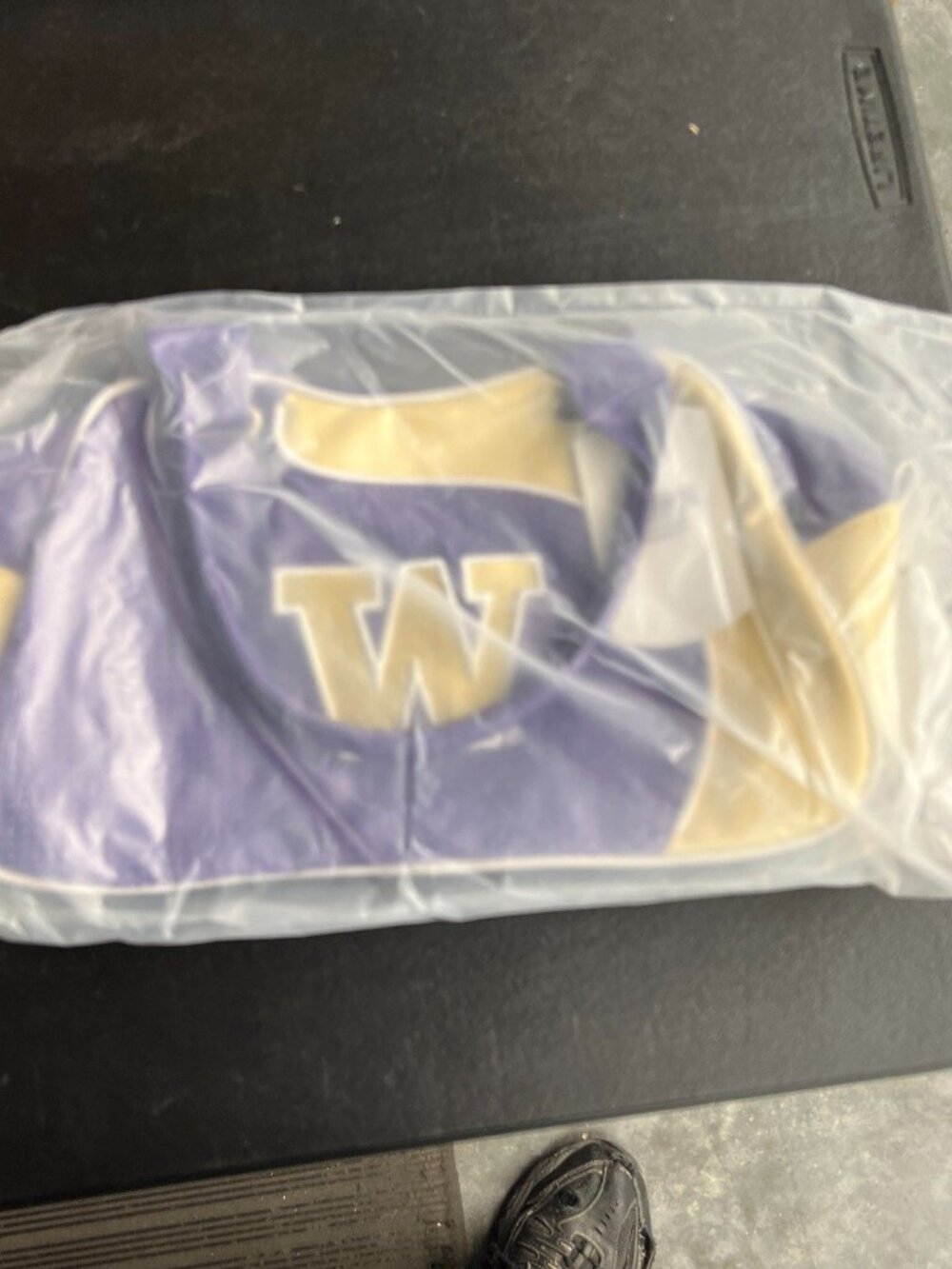 Washington Huskies Purse Handbag Bowler Fashion Zipper NCAA Official 13x7 - Picture 2 of 6